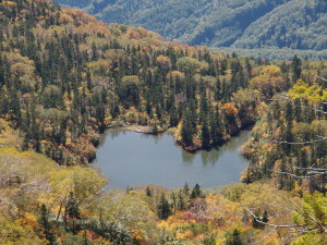 栂池自然園-18