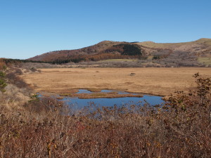 八島ヶ原湿原-01