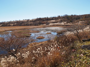 八島ヶ原湿原-07