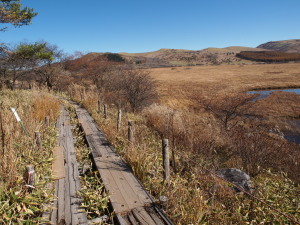 八島ヶ原湿原-09