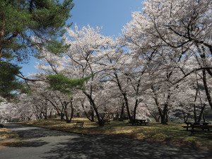 大西公園-05