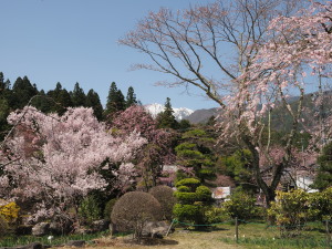 光前寺-08