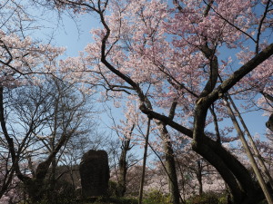 高遠城址公園-05