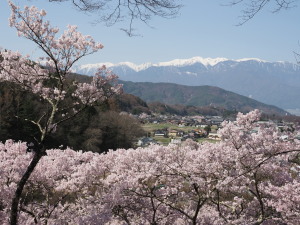 高遠城址公園-06