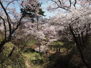 高遠城址公園-08