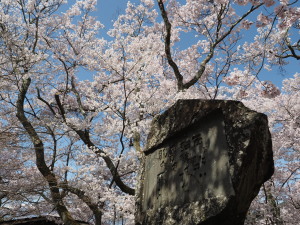 高遠城址公園-09