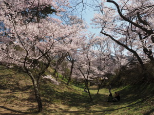 高遠城址公園-12