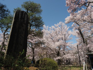 高遠城址公園-13