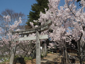 高遠城址公園-19