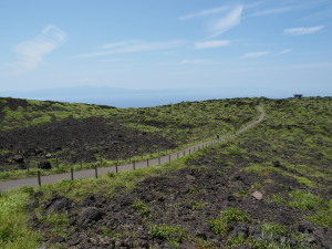 伊豆大島-05