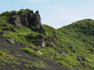 伊豆大島-10