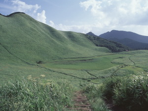 曽爾高原　Soni Highland