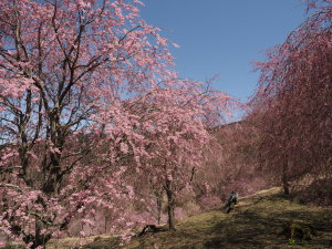 高見の郷-13