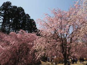 高見の郷-20