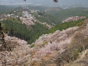 吉野山-16