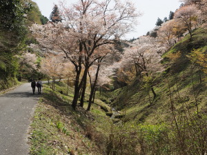 吉野山-25