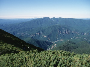 大雪山黒岳-02