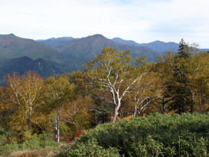 大雪山黒岳-09