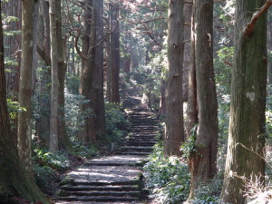 熊野古道-04