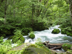 青森県　Aomori Pref.