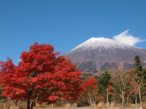 静岡県　Shizuoka Pref.