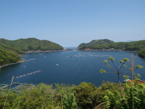 福井県　Fukui Pref.