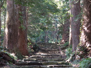 熊野古道　Kumano Kodo