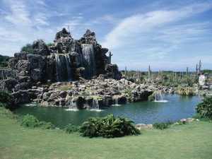 メキシコサボテン公園　Mexco Cactus Park