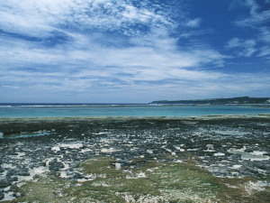 沖縄本島海岸-07