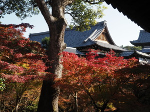 東福寺-10