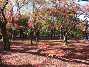 東福寺-03