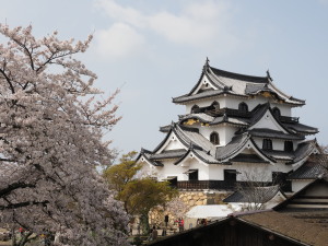 彦根城　Hikone Castle