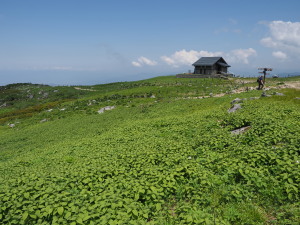 伊吹山-09