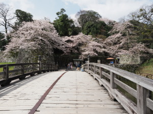 彦根城-04